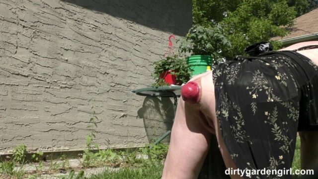 Backyard Prolapse